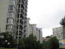 正规四房 提包入住 全朝中庭 宜居家