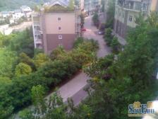 天生丽街,大四房带书房的。可拎包入住。