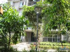 俊峰龙凤云洲 2室1厅 东南