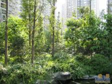 杨公桥 俊峰龙凤云洲一房82.5万