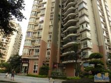 此房住家装修,出行方便,楼层适中,采光好,大阳台