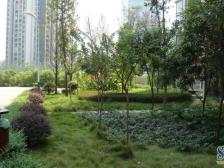 诚投天邻风景 3室1厅 东