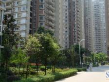 不要中介费,刚装修花了40颗,调动工作急卖