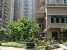 冉家坝 天邻风景三房117.5万