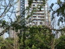 冉家坝 龙湖物业 正规两房 三轻轨出行