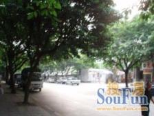 正规三室 诚心出售