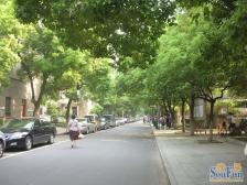 省政府大院 南北通透,采光好 近地铁 视野好,诚心出售