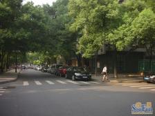 房型结构好,房子光照好很好,交通便利,出门就是公园