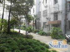 虹城公寓 1室1厅 南