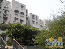 百年法国梧桐愚园路 网红打卡地 众多优秀历史名人故居