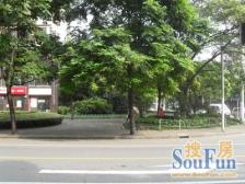 江宁·良清公寓·1室·1厅