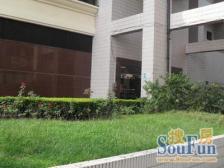 东看陆家嘴三件套+烫金楼层+电梯外销房+随时看房