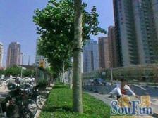 源深·中信五牛城·3室·1厅