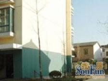 03年商品房,3.1米层高,南北双通户型,有三房潜力