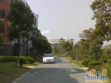 联排东边套,地上三层地下一层,5房3卫,使用面积大