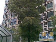 高境成熟商圈,双南,居家装修,业主诚意出售价格可谈