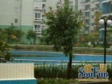 紫竹苑(奉贤) 1室1厅 南 北