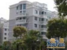 紫竹苑(奉贤)1室1厅南北