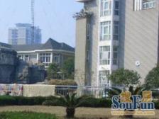 紫竹苑(奉贤) 1室1厅 南