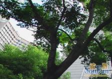 上海火车站·安丰小区·2室·1厅
