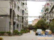 政立路80弄小区3室南朝向338.00万元/套出售