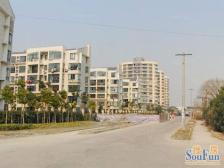 大江苑147平大三房,电梯次顶楼,视野开阔