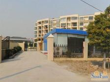 总有人间一两风,填我十万八千梦