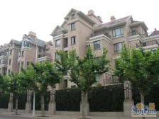 纯独栋小区,满五,精装北进门南花园