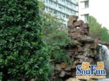 近日月光商+场,打浦桥地+铁站,居住体验佳