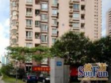 人车分流封闭管理物业好大开间阳光好业主必卖心