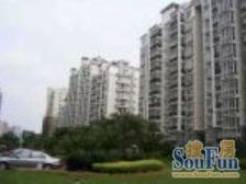 香港开发商,新上大三房,小高层,双轨地铁口,公园旁