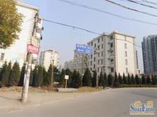 产权清晰 随时看房 新上房源