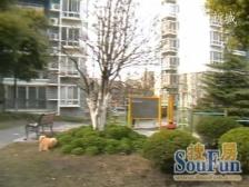 好房推荐,吴淞高端品质社区,梦想的家园,你值得拥有,可小刀