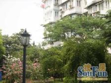 健身楼层 南北二房 靠宝杨路 采光好 出行方便价格美丽