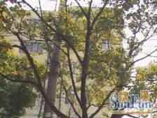 宝山区淞宝宝林六村2室1厅