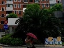 双轨出行,空中别墅,6米挑空,百万精装,拎包入住!