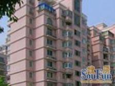 中内环内电梯房,有双露台,业主急售!!!