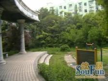 丰庄·振鑫花苑·3室·2厅