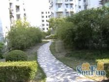 莘庄 · 绿茵苑-报春路558弄 · 4室 · 2厅