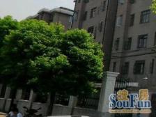 新上平南一村·1室·1厅 小区中间位置