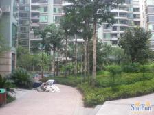 加州新牌坊 北城清迈阳光三房170万