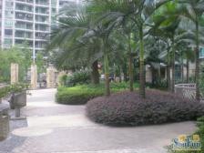 加州新牌坊 北城清迈阳光三房