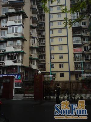 水晶星座实景图