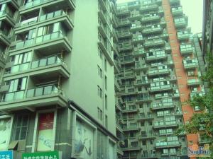 黉门公馆 2室1厅 南