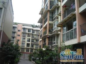 锦绣阳光(锦江) 3室2厅 北