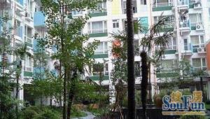 凯蒂阳光1室1厅南东南