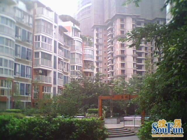 小区相关图