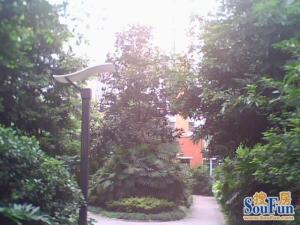 郦景东城 3室2厅 东南