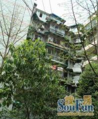 盛隆街2号 3室2厅 北