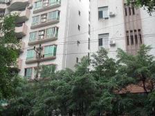 鱼洞 下河路三房